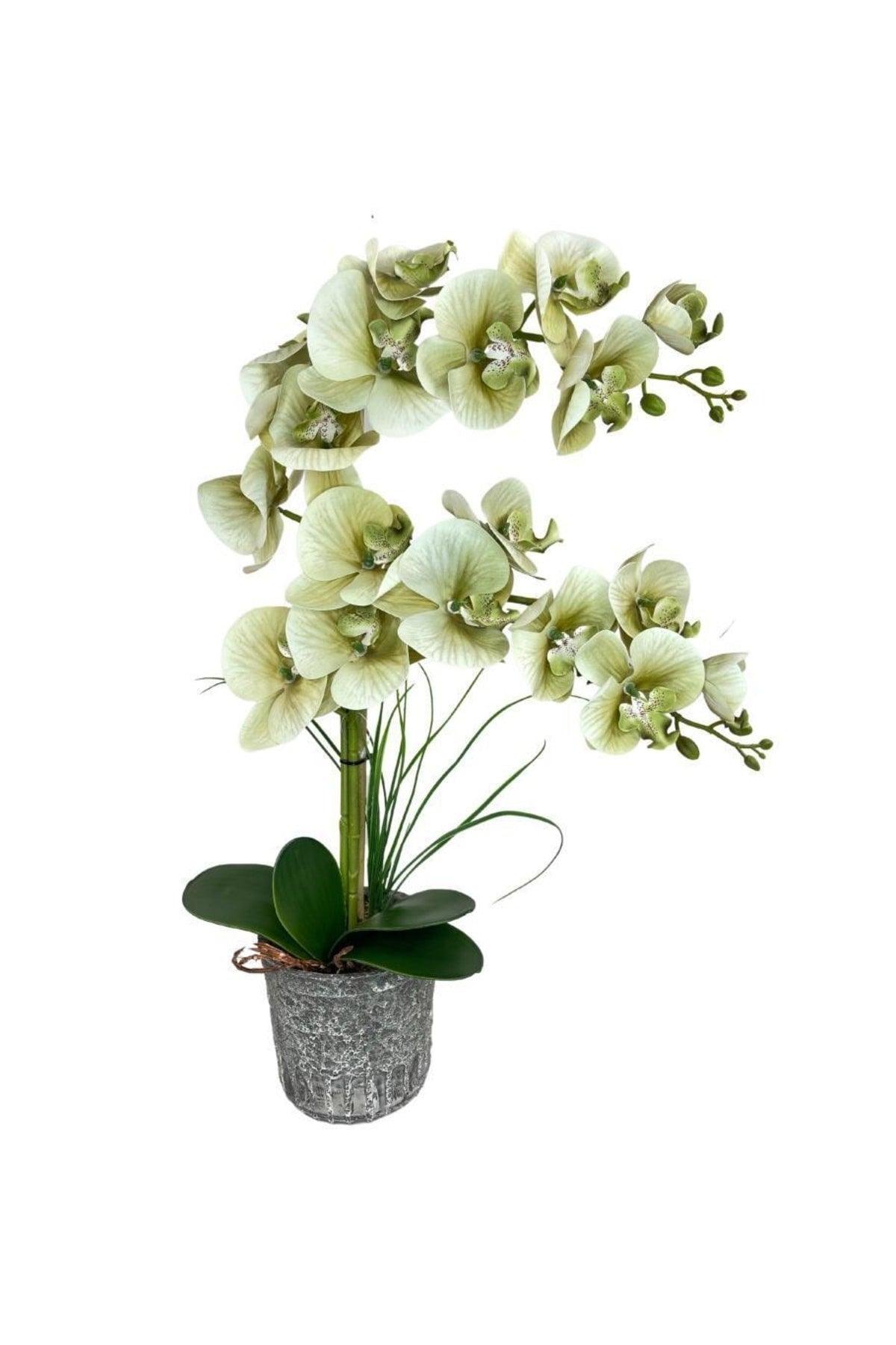 Artificial Flower Double Green Wet Orchid Ceramic Pot Orchid 60cm - Swordslife