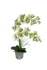 Artificial Flower Double Green Wet Orchid Ceramic Pot Orchid 60cm - Swordslife
