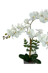 Artificial Flower 3 Piece White Orchid Ceramic Pot Orchid 60cm - Swordslife
