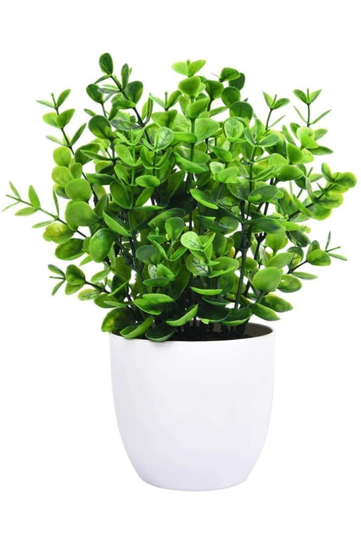 Artificial Flower White Potted Green Boxwood Decorative Table Flower - Swordslife
