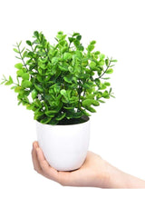 Artificial Flower White Potted Green Boxwood Decorative Table Flower - Swordslife