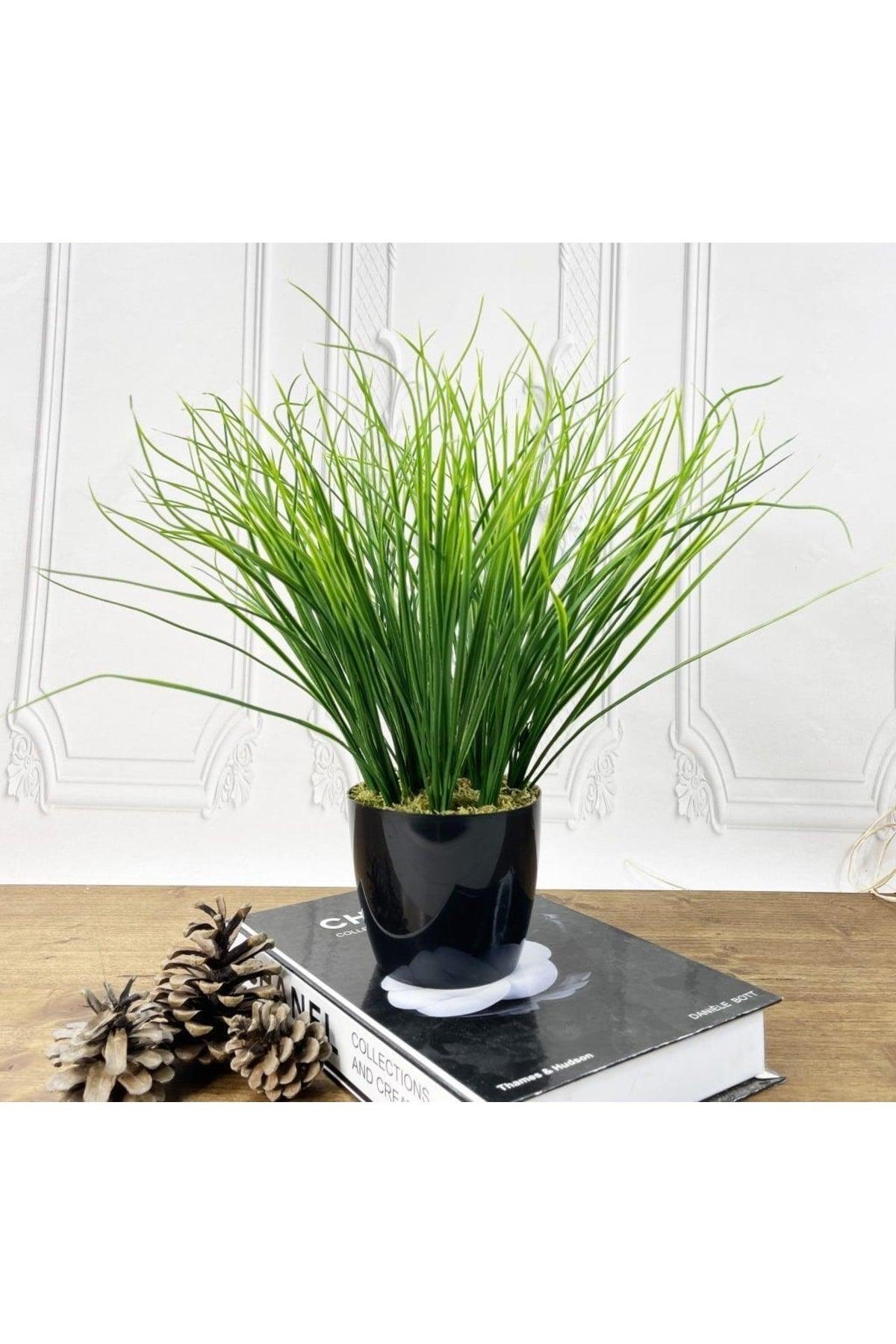 Artificial Flower Grass Thatch Artificial Plant Black Plastic Potted Decorative Ornamental Flower - Swordslife