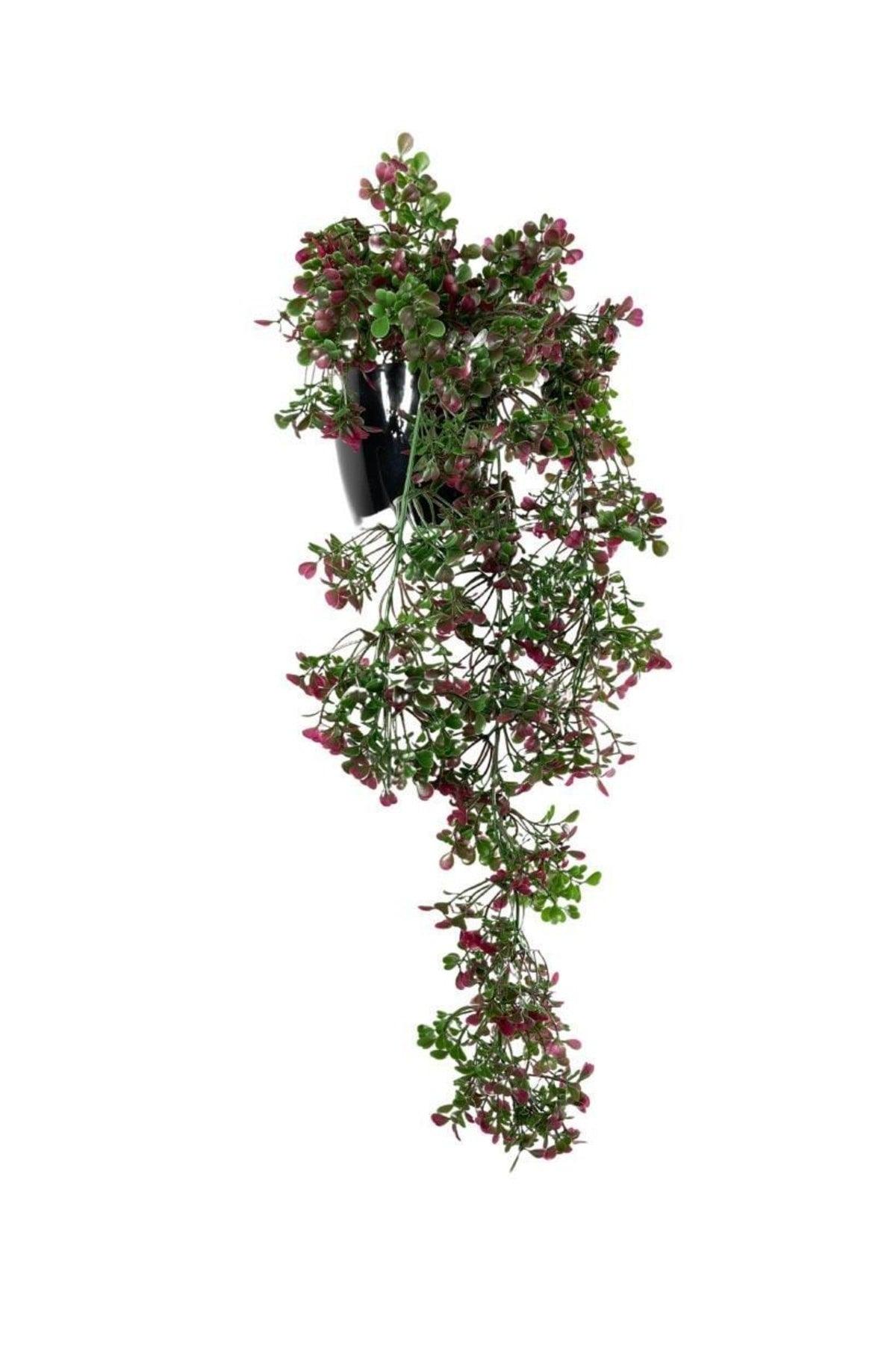 Artificial Flower Pot Hanging Burgundy Mouse Ear Boxwood Artificial Ivy Pastel 50cm - Swordslife