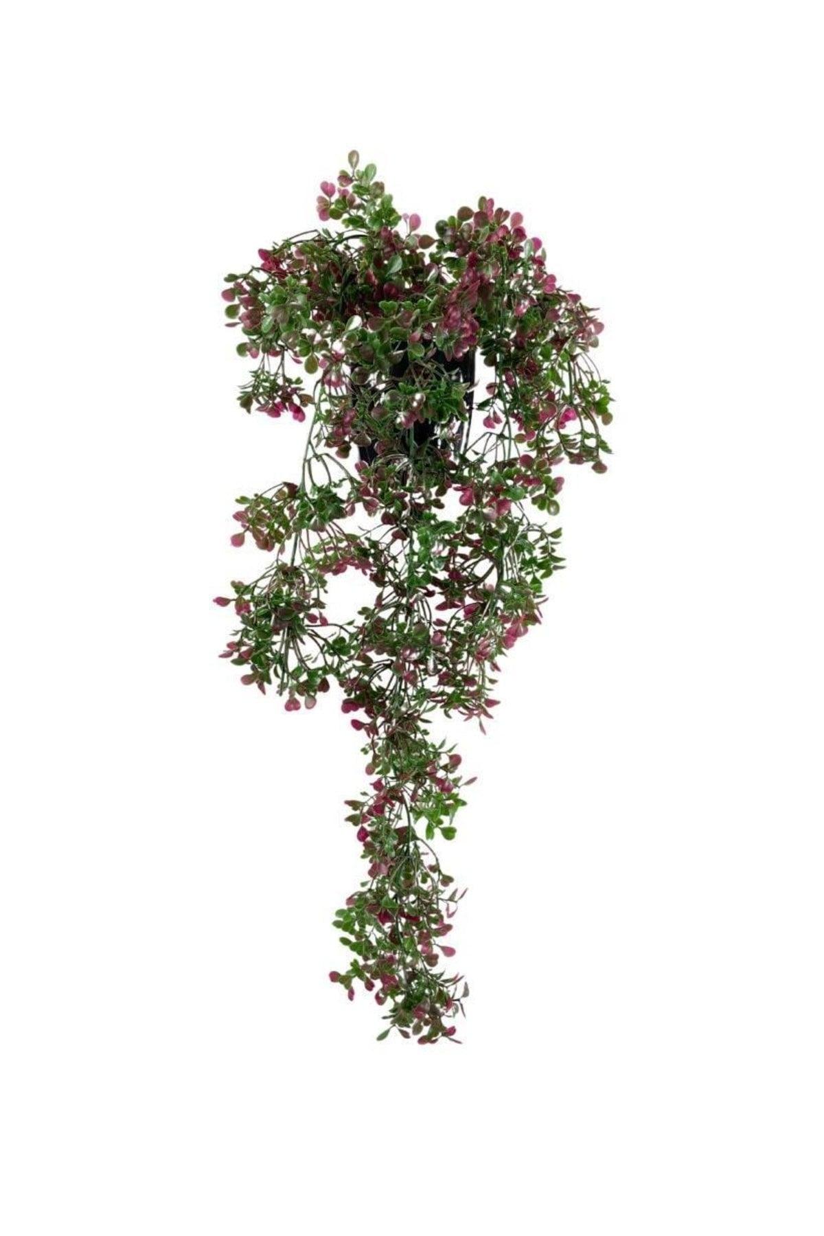 Artificial Flower Pot Hanging Burgundy Mouse Ear Boxwood Artificial Ivy Pastel 50cm - Swordslife