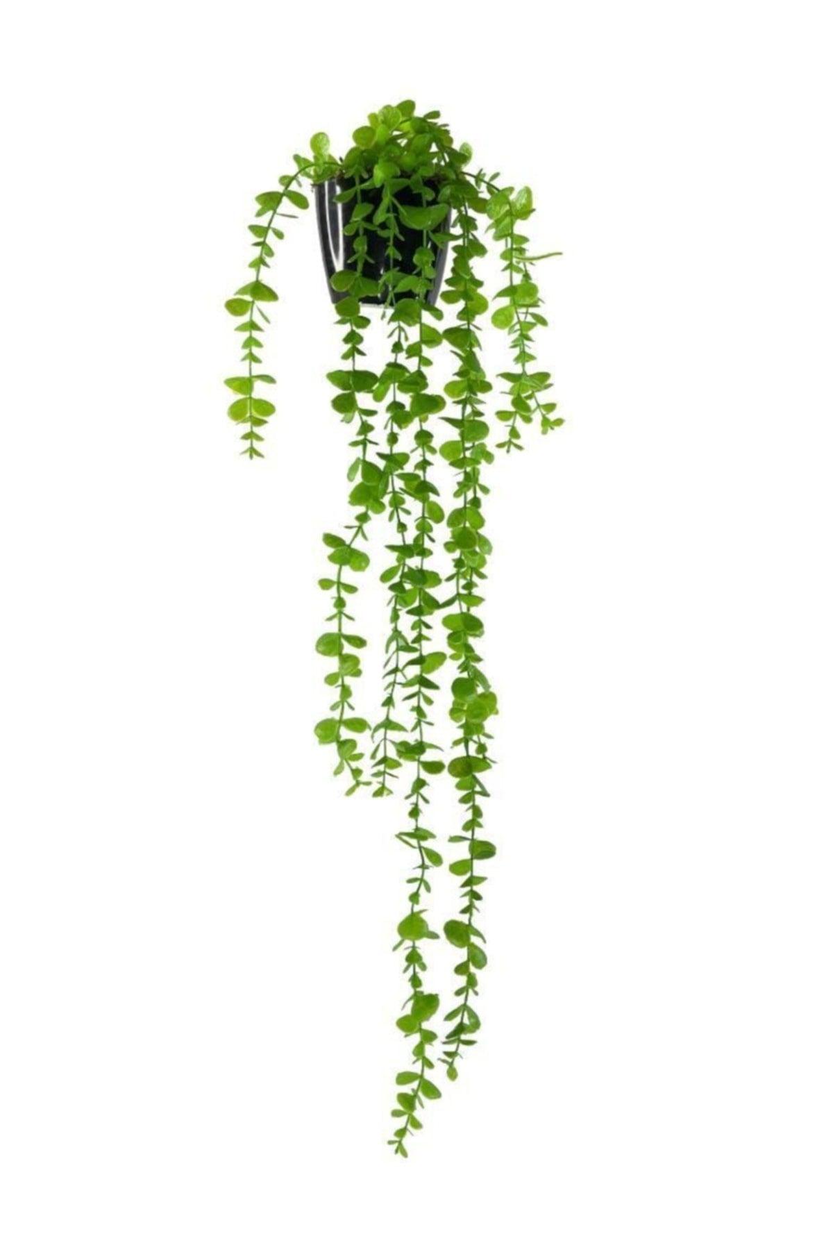 Artificial Flower Pot Hanging Eucalyptus 80cm - Swordslife
