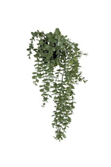 Artificial Flower Pot Hanging Boxwood Matte Pastel Eucalyptus Artificial Ivy Pastel 50cm - Swordslife