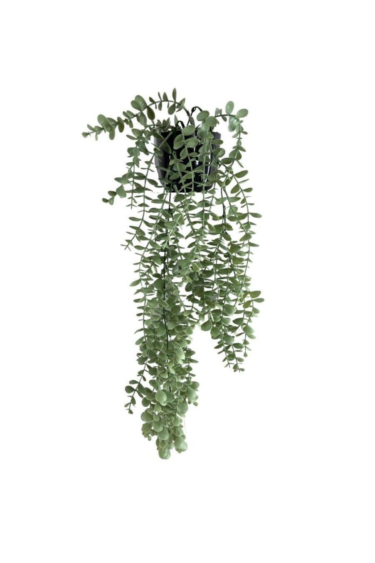 Artificial Flower Pot Hanging Boxwood Matte Pastel Eucalyptus Artificial Ivy Pastel 70 cm - Swordslife