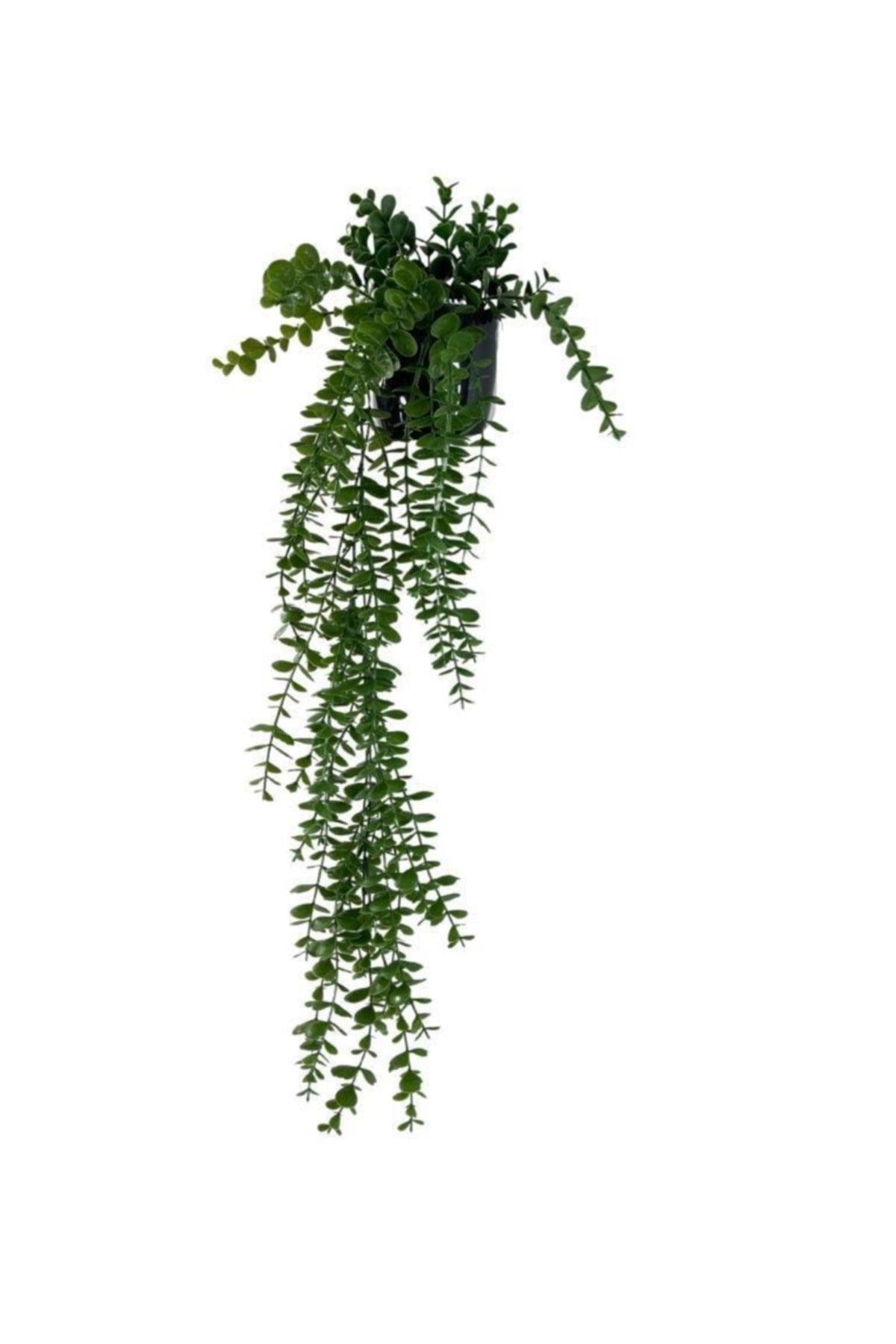 Artificial Flower Pot Hanging Boxwood Eucalyptus Artificial Ivy Pastel 75cm - Swordslife