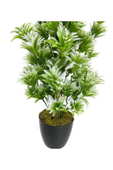 Artificial Flower Black Pot Green White Sycas Tree 55cm - Swordslife