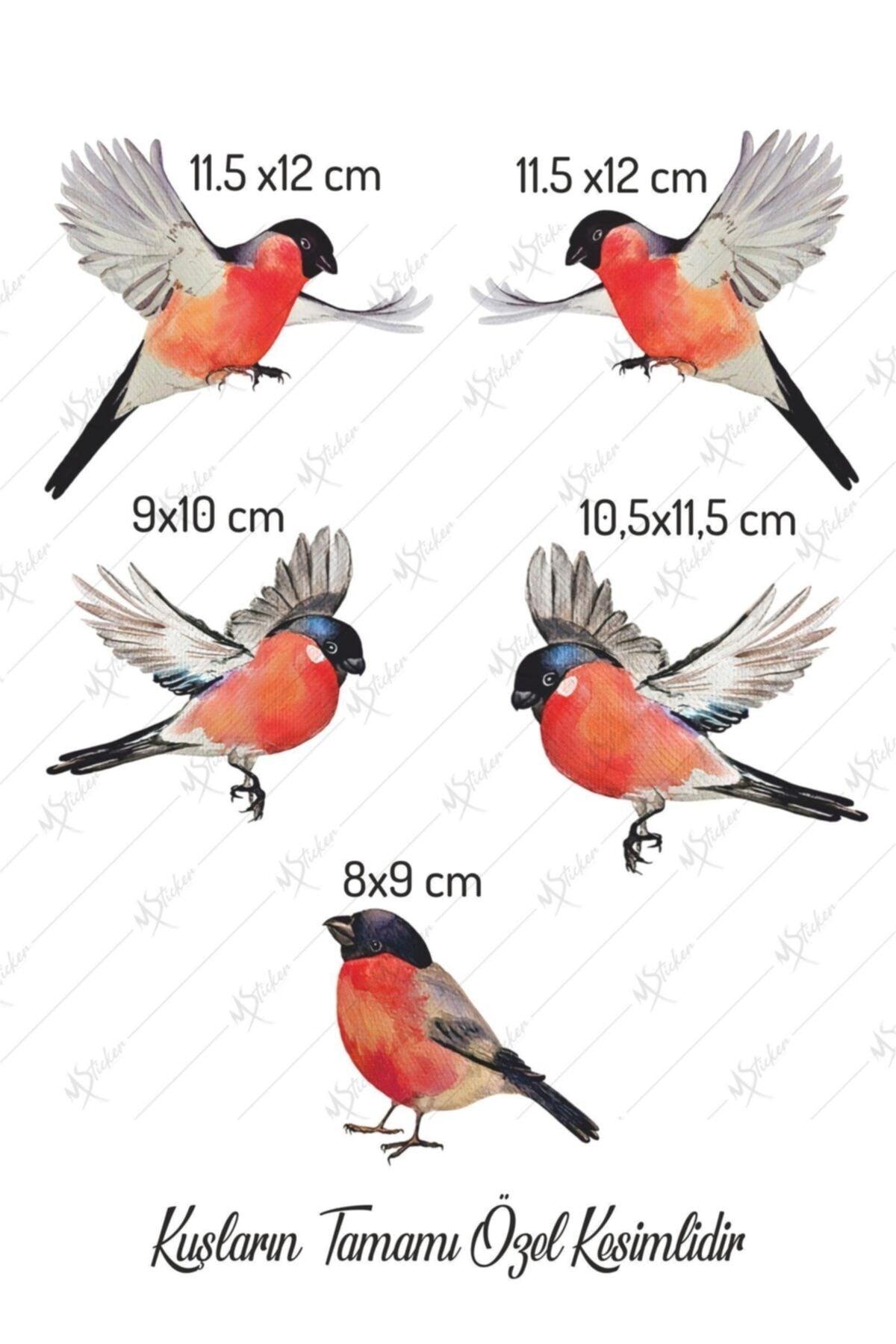 Christmas Winter Birds Glass Wall Sticker Set - Swordslife