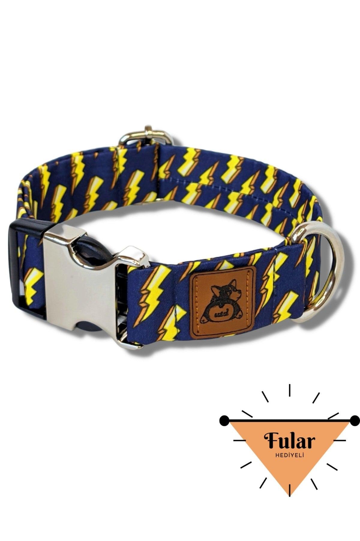 Zeus Dog Collar